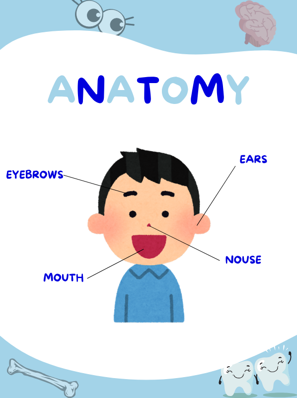 Anatomy chapter preview